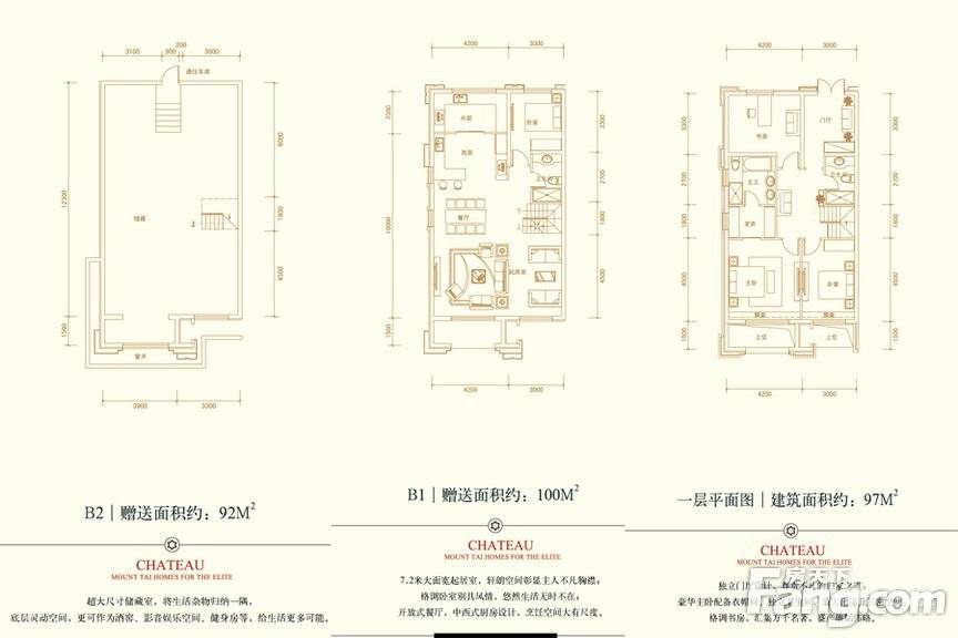 国悦府国悦府户型图底town洋房