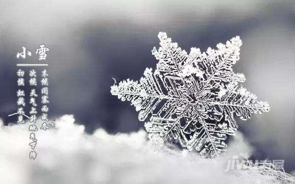邢台*小雪 | 一片飞雪一片寒,寒冬已至有雪如诗
