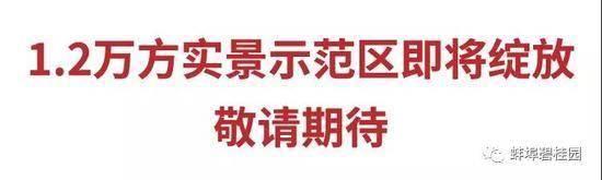 时间不多3天|蚌埠碧桂园醉美实景示范区即将绽放!!!