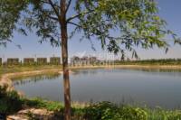 鸣翠湖城实景图图片