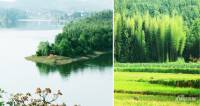 千鹭湖国际度假区实景图图片