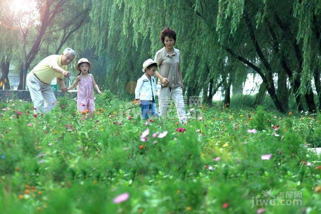 普华浅水湾沙盘图图片