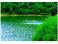 瑞安翠湖山实景图图片