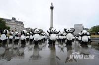 熊猫中央广场项目实景图图片