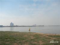黄河春天实景图图片