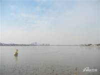 黄河春天实景图图片
