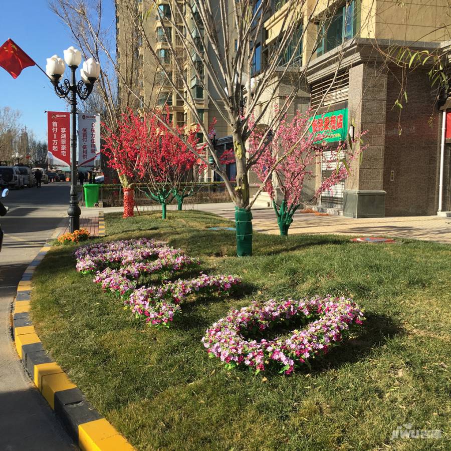 恒大绿洲实景图图片