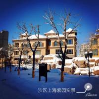 上海紫园实景图图片
