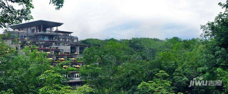 龙湾雨林谷实景图图片