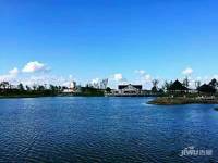 悦岛观湖实景图图片