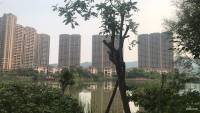 光大锦绣山河实景图图片
