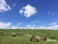 雅居乐云南原乡实景图图片