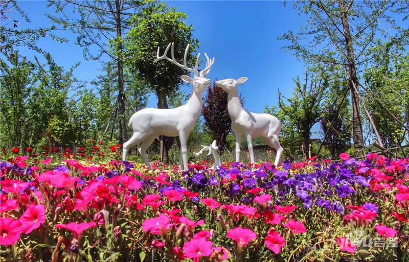 白鹿溪岸实景图图片