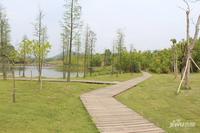 国瑞山湖海庄园实景图图片