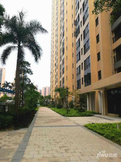 端州区体育公园即将开建，助力全民健身新空间