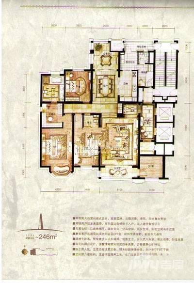 河畔新城品尚普通住宅246㎡户型图