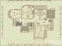 东方普罗旺斯普通住宅437㎡户型图