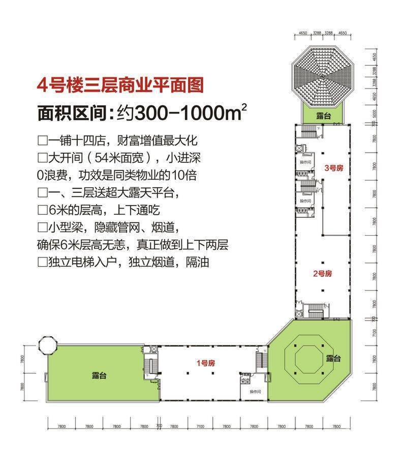 东都汇普通住宅300㎡户型图