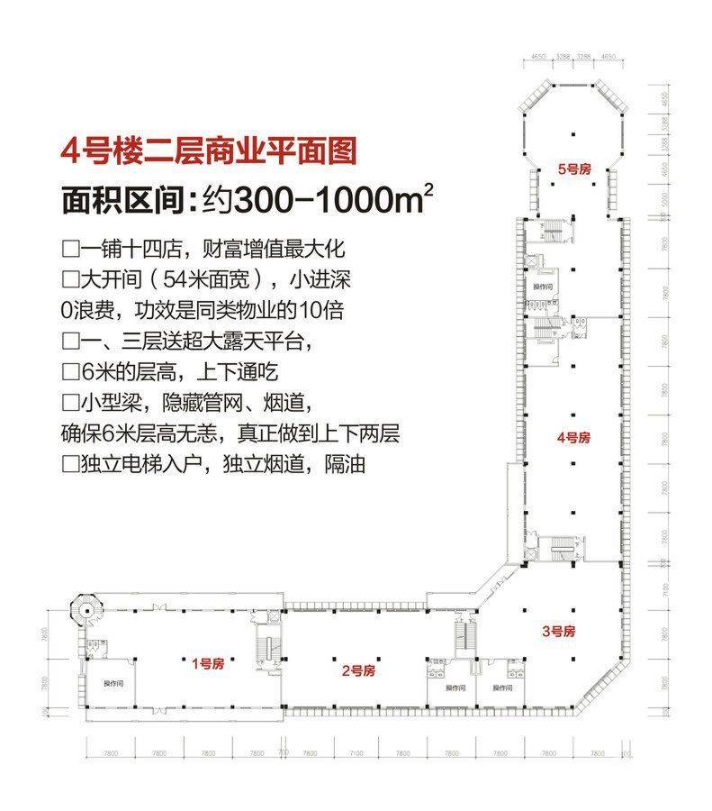 东都汇普通住宅300㎡户型图