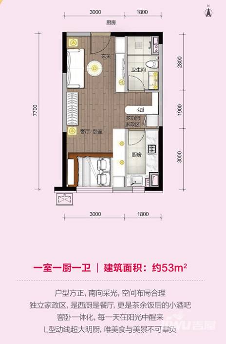 万科明天广场1室1厅1卫53㎡户型图