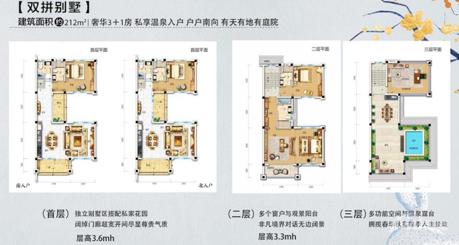 碧桂园天麓山栖别墅-0212㎡户型图