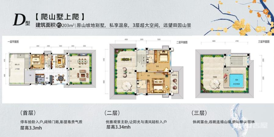 碧桂园天麓山栖普通住宅203㎡户型图